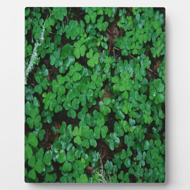 Plaque Photo Clover vert (Devant)