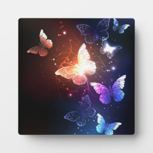 Plaque Photo Clowing Night Butterflies