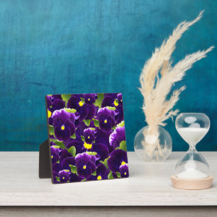 Plaque Photo Clusters de Pansy Profond Violet : Beauté majestue