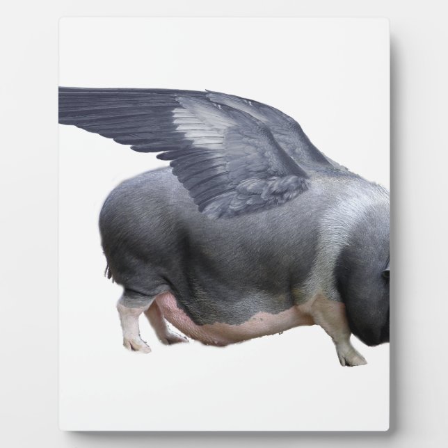 Plaque Photo cochon volant (Devant)
