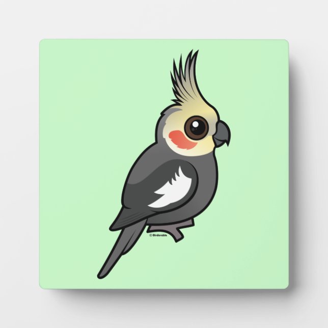 Plaque Photo Cockatiel (Devant)