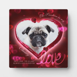 Plaque Photo Cœurs et amour au néon rouge, photo de animal de c