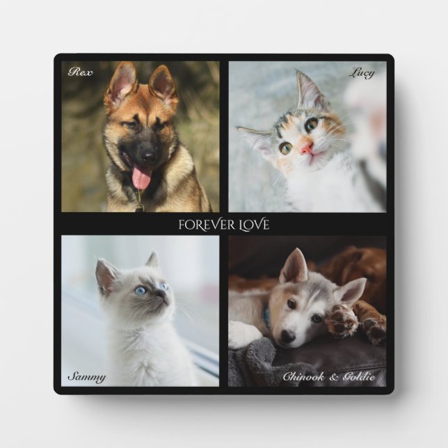 Plaque Photo Collage de 4 photos pour animaux de compagnie, cad (Devant)