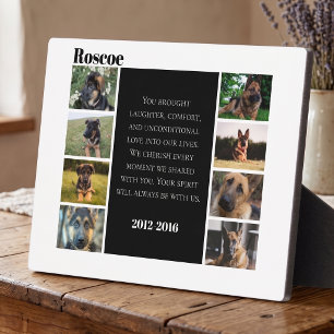 Plaque Photo Collage de photos commémoratives d'animaux de comp