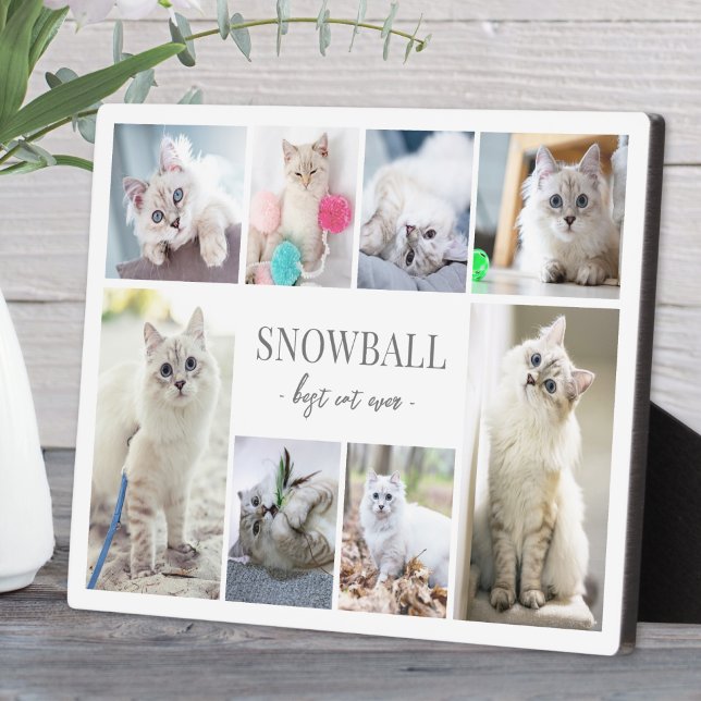 Plaque Photo Collage de photos de chats domestiques simples (Simple Cat Pet Photo Collage plaque )
