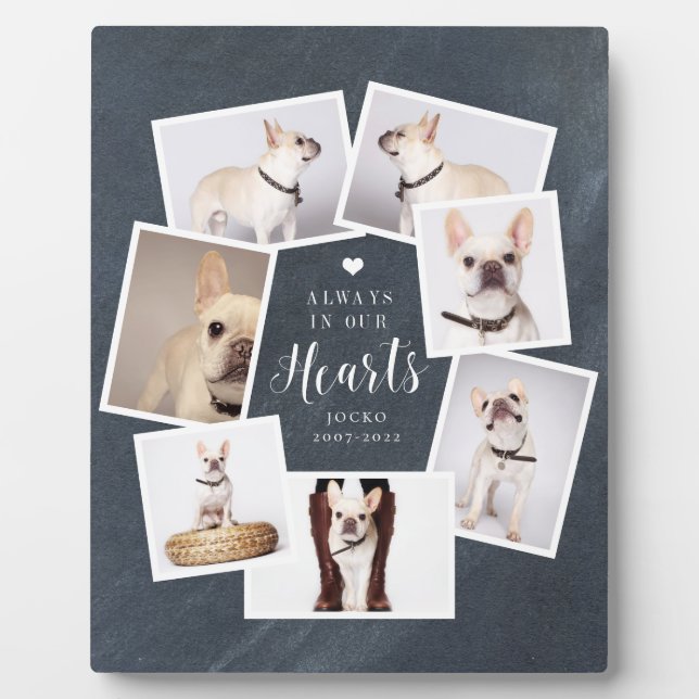 Plaque Photo Collage Multi Photo Personnalisé Mémorial Animal d (Devant)