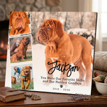 Collage photo de souvenir pour animaux de compagni