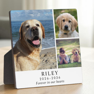 Plaque Photo Collage photo personnalisé en mémoire d'un chien
