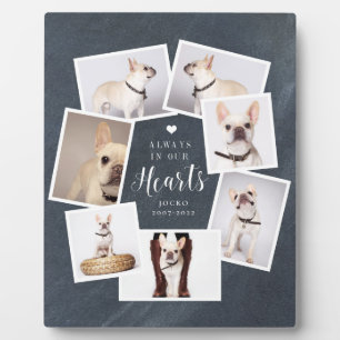 Plaque Photo Collage photo personnalisé pour mémorial d'animal 