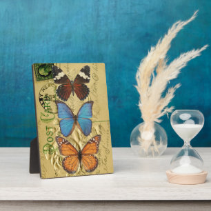 Plaque Photo Collection papillon