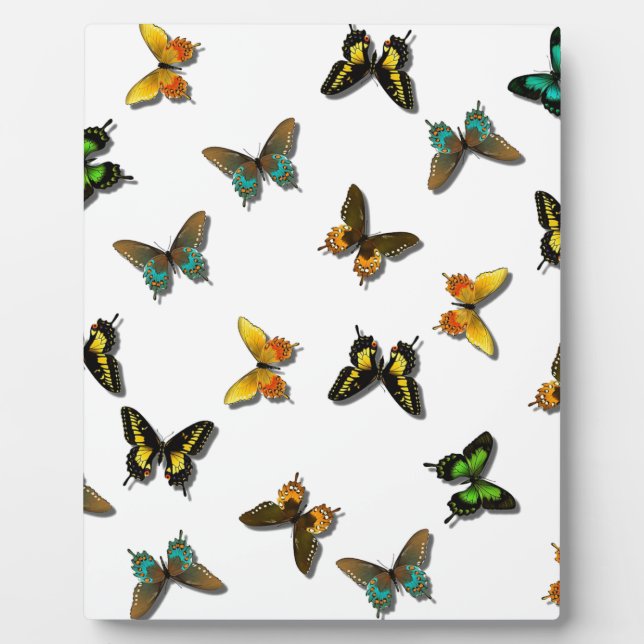 Plaque Photo Colored Butterflies Art (Devant)