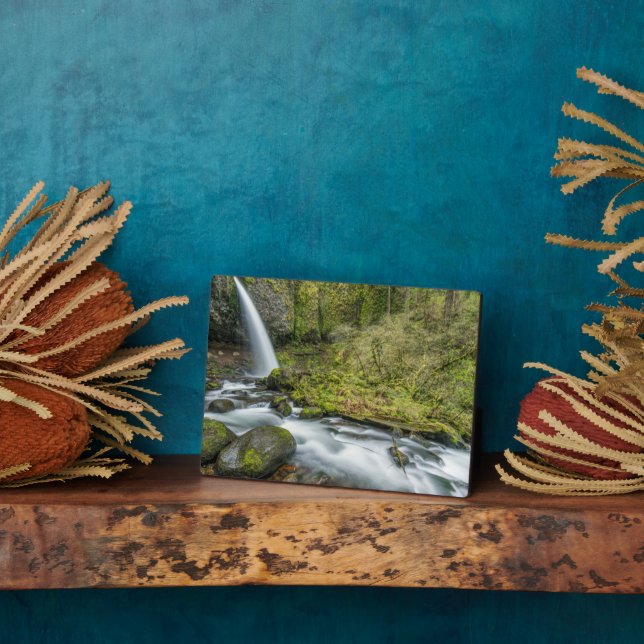 Plaque Photo Columbia River Gorge, Ponytail Falls (Côté)