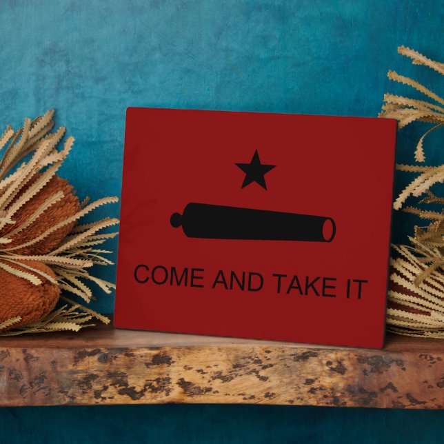 Plaque Photo Come & Take It ! Flag de Texas State (Côté)