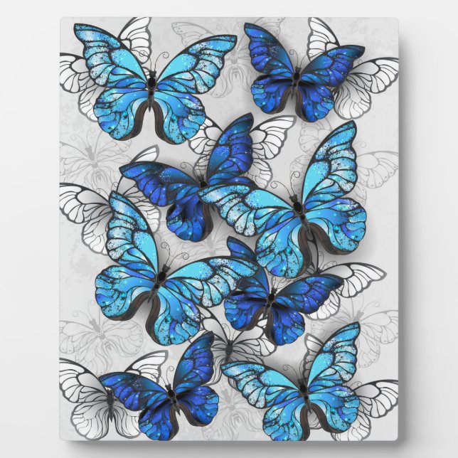 Plaque Photo Composition des White and Blue Butterflies (Devant)