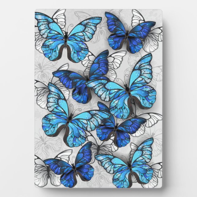 Plaque Photo Composition des White and Blue Butterflies (Devant)