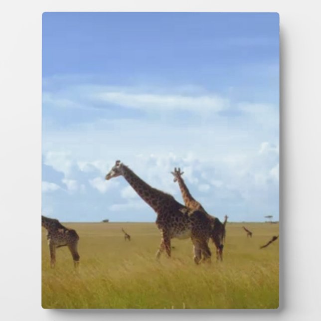 Plaque Photo Conception de la girafe du parc national de Nairob (Devant)