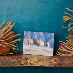 Plaque Photo Conduite de chevaux de cow-boy au ranch Hideout