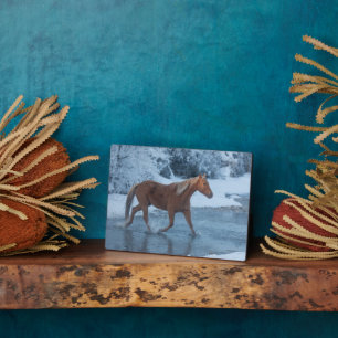 Plaque Photo Conduite de chevaux en hiver au Hideout Ranch