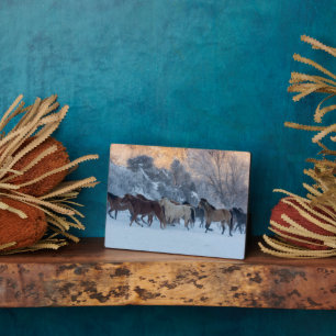 Plaque Photo Conduite de chevaux en hiver au Hideout Ranch