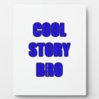 Plaque Photo Cool Story Bro