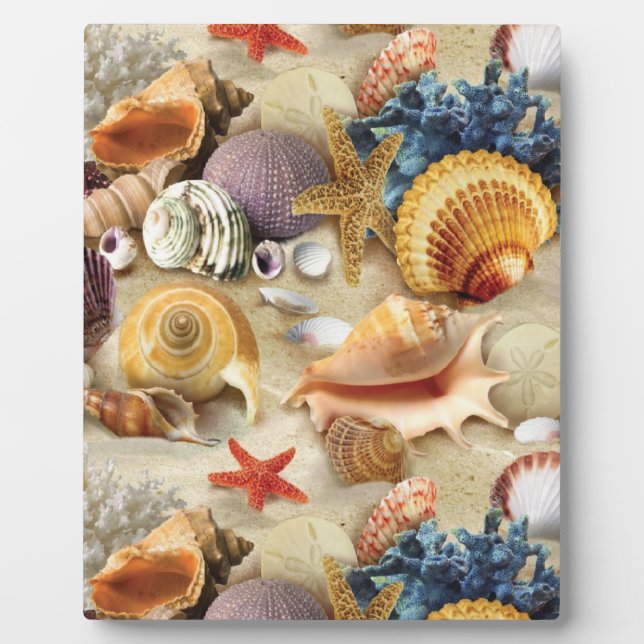 Plaque Photo Coques de mer sur la plage (Devant)
