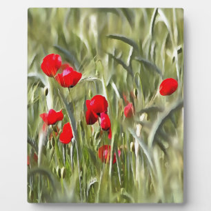 Plaque Photo Corn Poppies