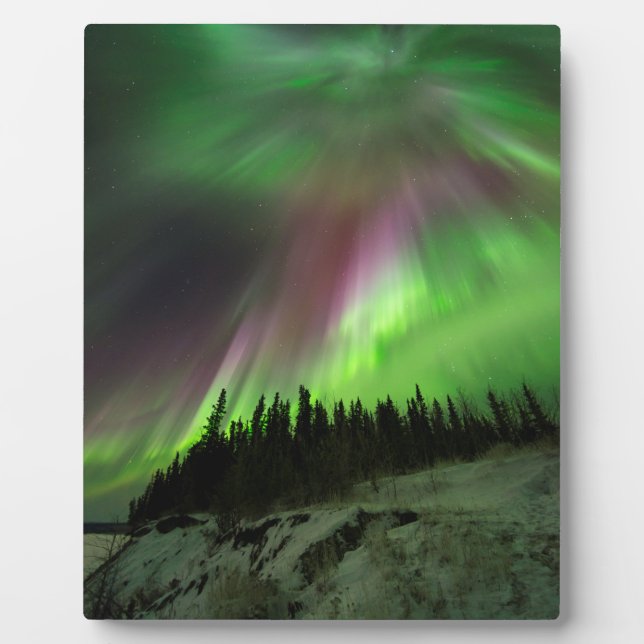 Plaque Photo Corona Aurora (Devant)