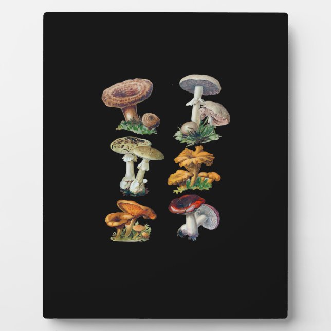 Plaque Photo Cottagecore Mushrooms Goblincore Aesthetic Mushroo (Devant)