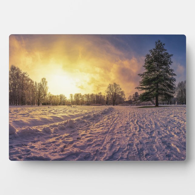 Plaque Photo Coucher de soleil sur le parc d'hiver enneigé (Devant)