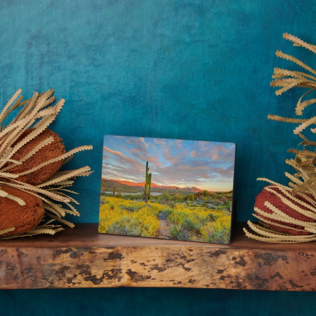 Plaque Photo Coucher du soleil sur le paysage désertique (Côté)