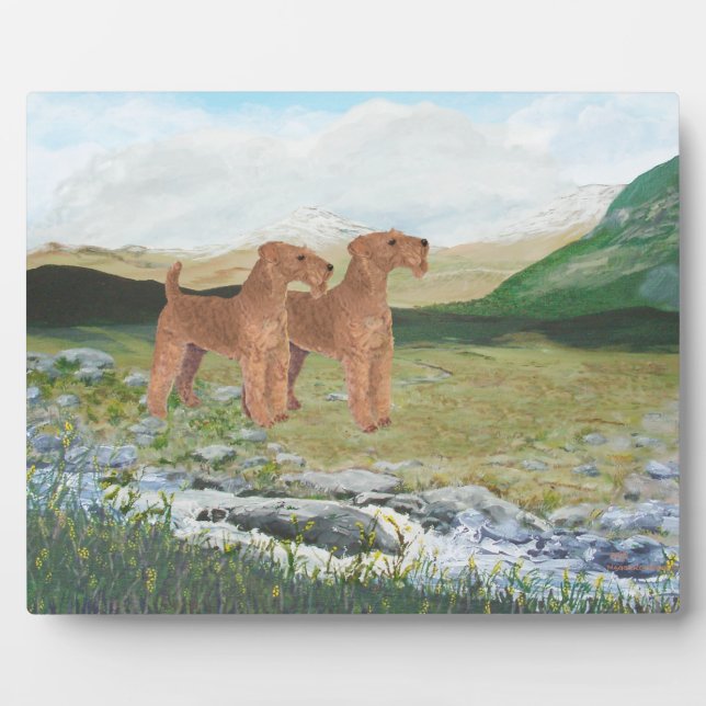 Plaque Photo Countryside (Devant)