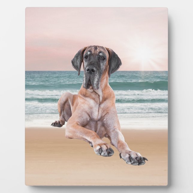 Plaque Photo Coutume Grand Chien Danse assis sur la plage (Devant)