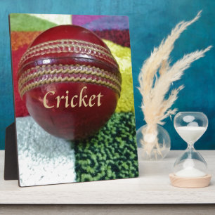 Plaque Photo Cricket Le Jeu Que Nous Aimons Jouer, Manger, Dorm
