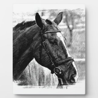Plaque Photo Croquis noir blanc