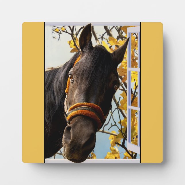 Plaque Photo Curieux Cheval À Travers La Fenêtre De La Cuisine (Devant)