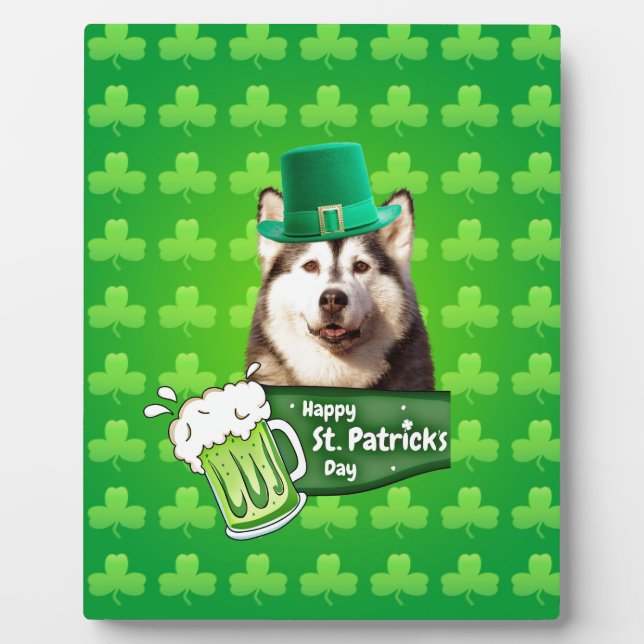 Plaque Photo Cute Siberian Husky Chien Casquette St. Patrick's  (Devant)