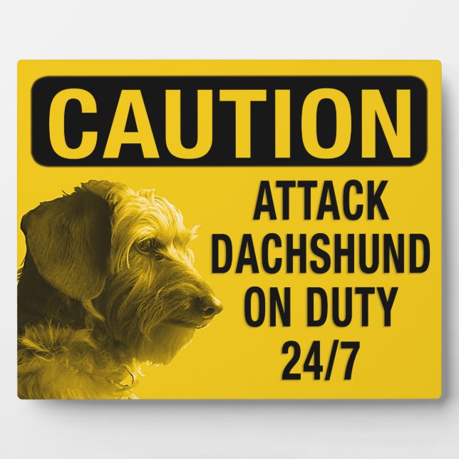 Plaque Photo Dachshund (Devant)