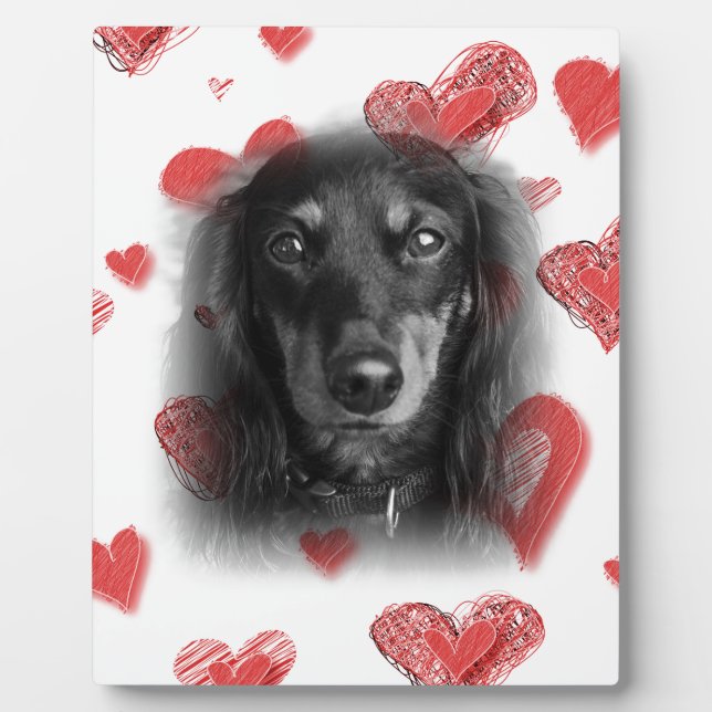 Plaque Photo Dachshund aux Coeurs rouges (Devant)