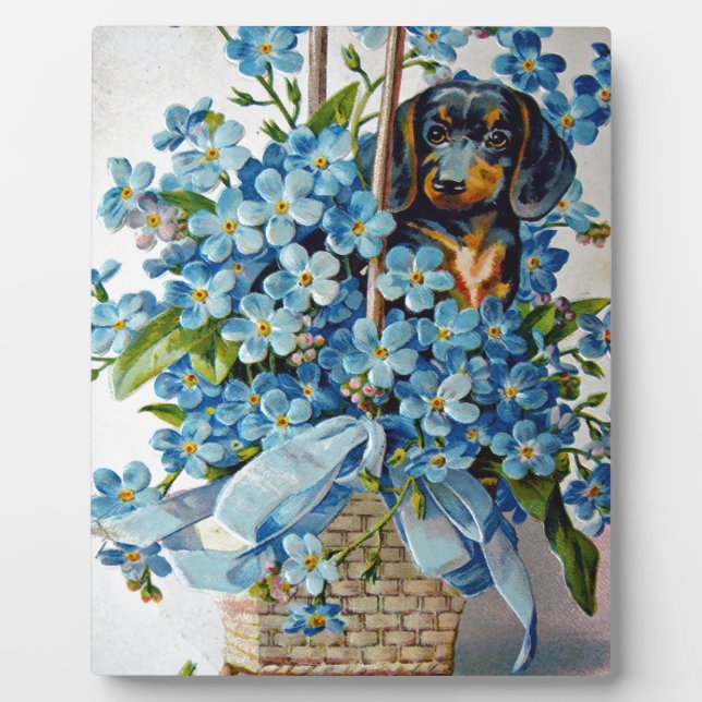 Plaque Photo Dachshund et Forget-Me-Nots (Devant)