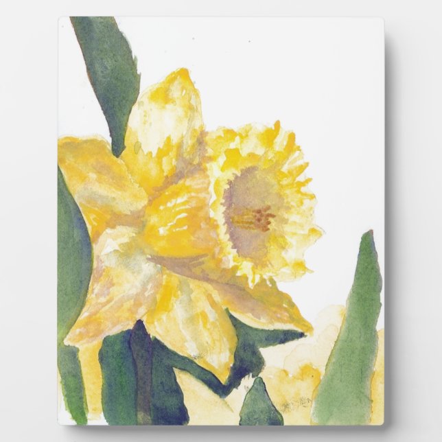 Plaque Photo Daffodiques de printemps (Devant)