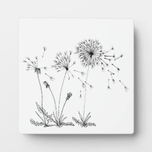 Plaque Photo Dandelions
