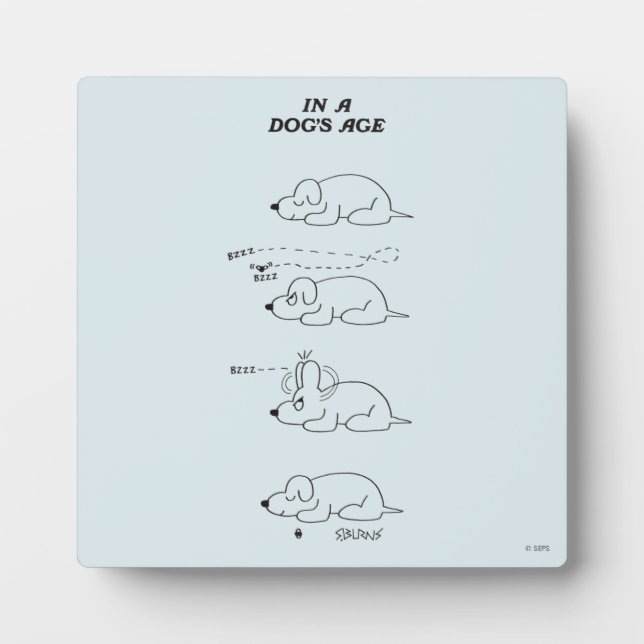 Plaque Photo Dans l'âge d'un chien (Devant)