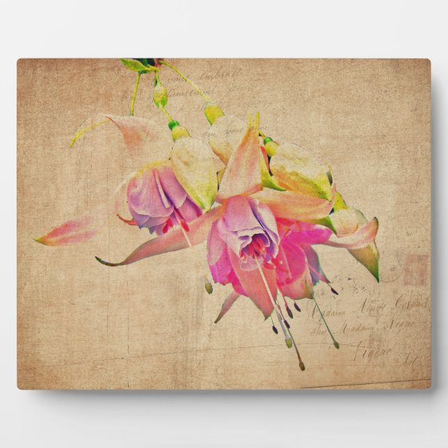 Plaque Photo Danser Dans Le Vent - Fleurs Fuchsia (Devant)