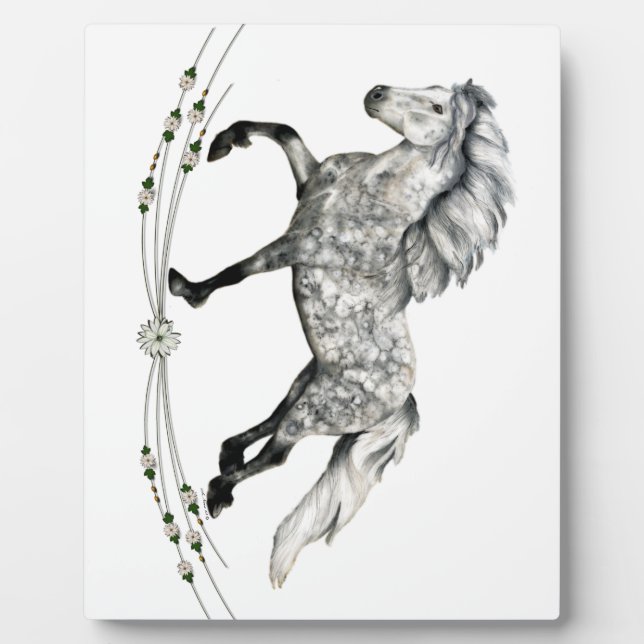 Plaque Photo Dapple Grey Islandais Mare Grá (Devant)