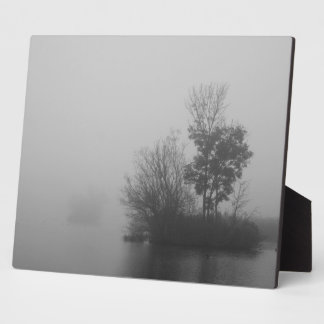 Plaque photo de brouillard