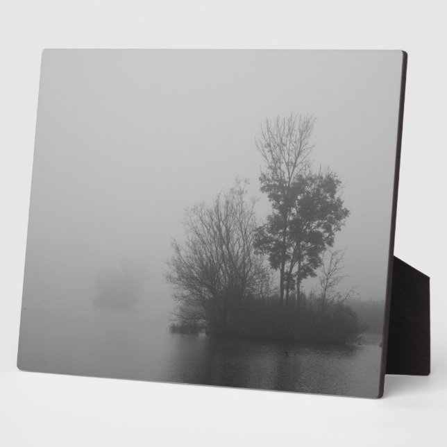 Plaque photo de brouillard (Côté)