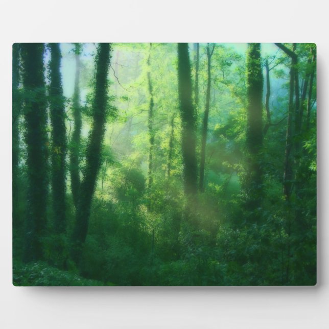 Plaque photo de fertilité (Devant)