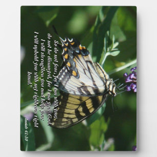 Plaque photo de la Bible de papillon Swallowtail