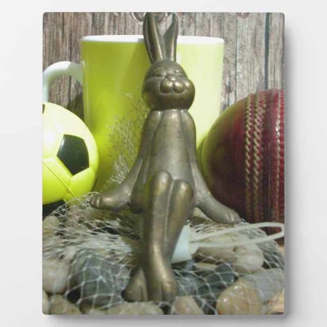 Plaque Photo De l'autre côté du Pitch & Crease : Football Crick (Devant)