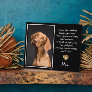 Plaque Photo De L'Autre Côté Du Pont Arc En Ciel Vizsla Chien